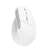 Trust Bayo II Ergonomic Rechargeable Wireless Mouse White