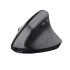 Trust Bayo+ Multidevice Ergonomic Wireless Mouse