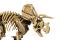 Lego Dinosaurie fosílie: Triceratops