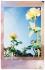 Fujifilm Instax MINI 10list Pastel Galaxy
