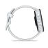 Garmin Forerunner 70, Whitestone