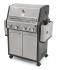 G21 Alabama Silver BBQ Premium Line