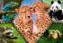 Trefl Trefl Puzzle 100 dielikov -  Krása prírody / Discovery Animal Planet