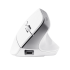 Trust Bayo+ Multidevice Ergonomic Wireless Mouse White