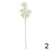 Cosmos kus 85cm biely