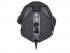 Tracer GAMEZONE Scarab AVAGO5050