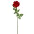 Ruža kus červená 78cm