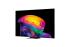 LG OLED83C64  + Cashback 800€