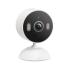 TP-Link Tapo C113