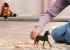 Schleich Schleich Kobyla anglického plnokrvníka