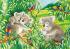 Ravensburger Roztomilé koaly a pandy 2x24 dielikov