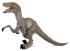 Collecta COLLECTA Velociraptor