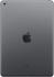 Apple iPad 128GB Wi-Fi Space Gray