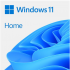 Microsoft Windows 11 Home 64Bit Slovak USB FPP