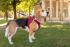 CURLI Postroj pre psov so sponou Air-Mesh Ruby M, 6-9 kg