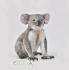 Collecta COLLECTA Koala