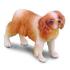 Collecta COLLECTA Cavalier King Charles španiel