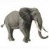 Collecta COLLECTA Slon africký