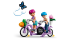 Lego Kreatívne kvetinárstvo