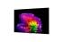LG OLED55G64  + Cashback 200€