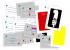 Trefl Trefl hra Colour Brain