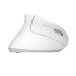 Trust Verto Wireless Ergonomic White