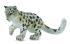 Collecta COLLECTA Leopard
