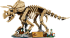 Lego Dinosaurie fosílie: Triceratops