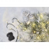 Emos LED vianočná reťaz 5.6m teplá biela, 3xAA, časovač