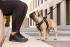 CURLI Postroj pre psov so sponou Air-Mesh Skyblue, 3XS, 1,5-3 kg