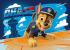 Ravensburger Moje prvé puzzle Labková patrola 2/3/4/5 dielikov
