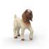 Schleich Schleich Kozľa búrske kozy