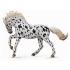 Collecta COLLECTA Knabstrupper Mare - leopard Černý