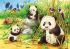Ravensburger Roztomilé koaly a pandy 2x24 dielikov