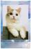 Fujifilm Instax MINI 10list Pastel Galaxy