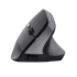 Trust Bayo II Ergonomic Rechargeable Wireless Mouse
