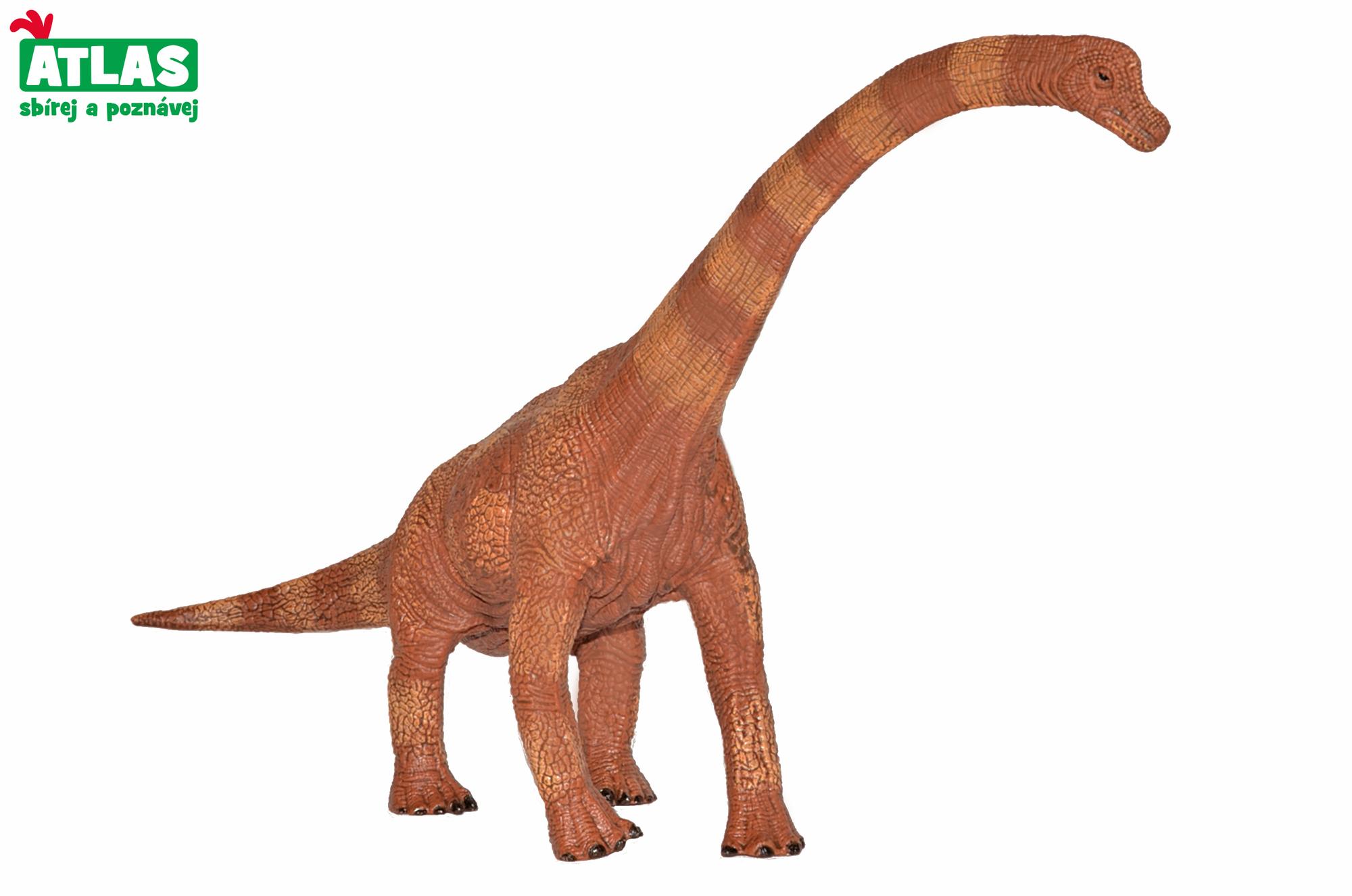 Atlas Figúrka Dino Brachiosaurus 30cm WKW101830