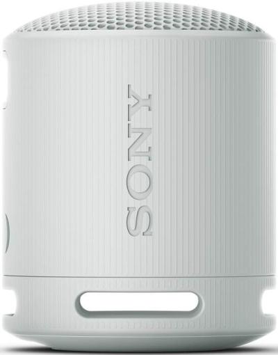 Sony SRS-XB100H šedý - Bluetooth reproduktor