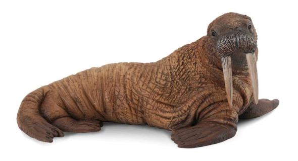 Collecta COLLECTA Mrož ľadový