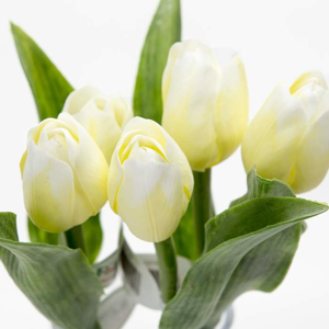 Tulipán kus 40cm krémový - Umelé kvety