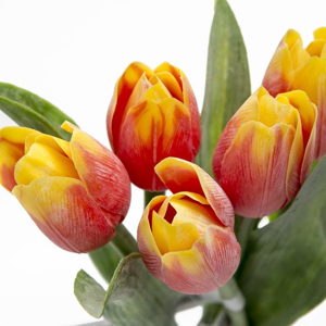 Tulipán kus 40cm červeno-žltý - Umelé kvety