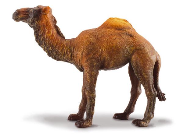 Collecta COLLECTA Dromedár