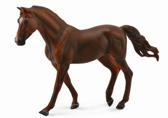 Collecta COLLECTA Chestnut žrebec