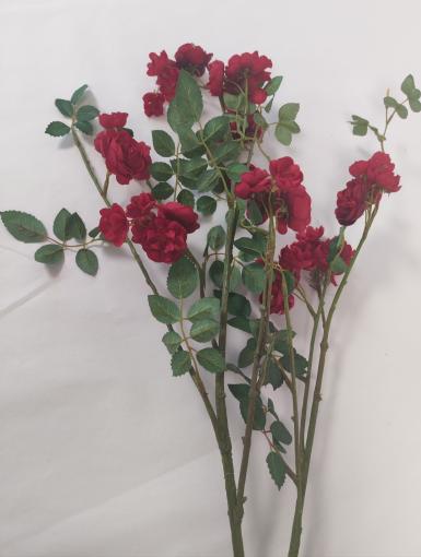 DecorGlass - Šípová ruža červená 100cm