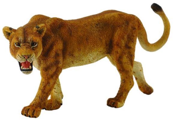 Collecta COLLECTA Levica