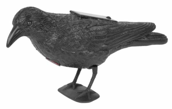 Strend Pro - Plasic vtákov Havran čierny, solárny, zvuk