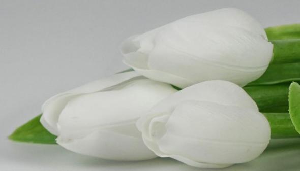 Tulipán kus 40cm biely - Umelé kvety