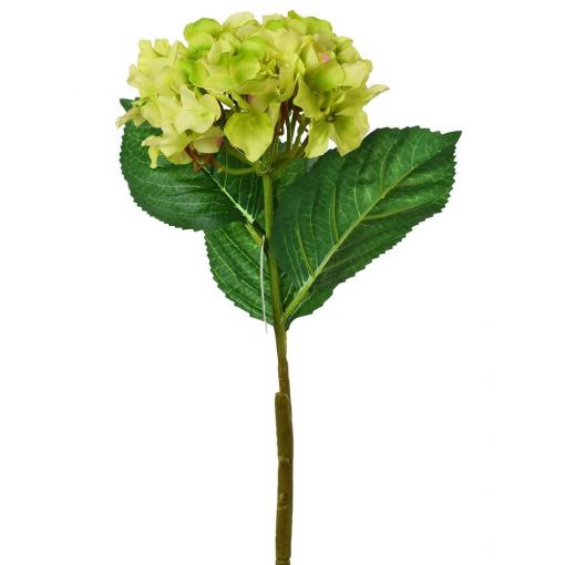 Hortenzia zelená kus 50cm - Umelé kvety