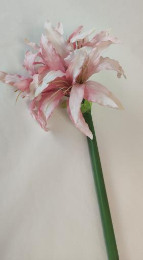 DecorGlass - Pavučia ľalia ružová 93cm