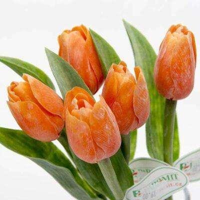 Tulipán kus 40cm oranžový - Umelé kvety